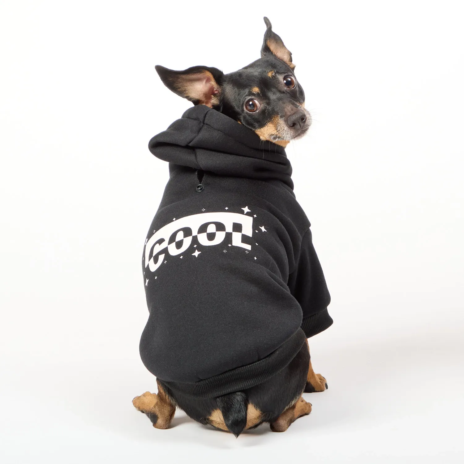 Moletom com Capuz para Caes Cool Flicks Preto 5